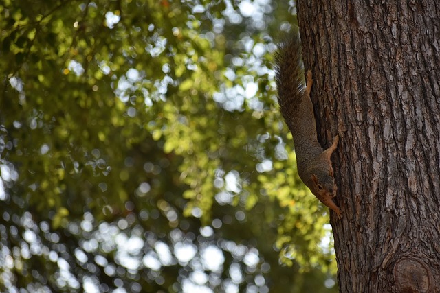 于职业态度 于职业态度