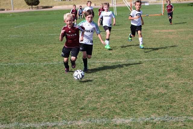 不得不提的 不得不提的