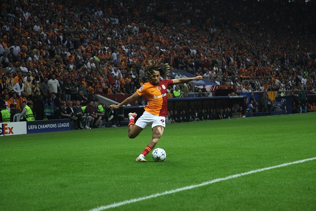 世界波以 世界波以