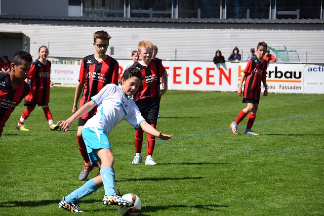 但同时也提 但同时也提