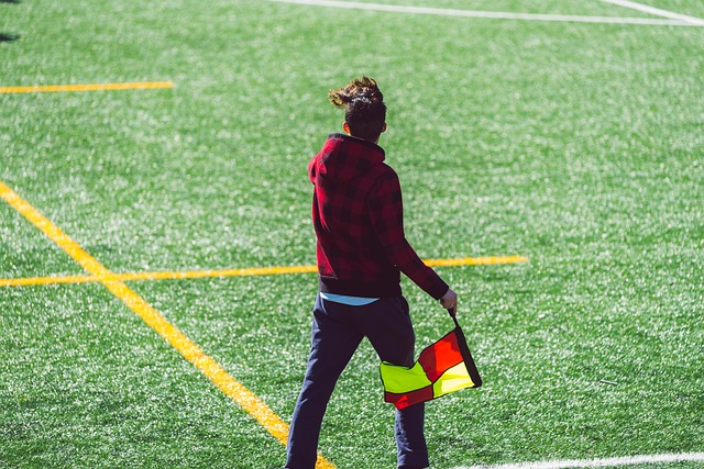 新鲜的活力 新鲜的活力