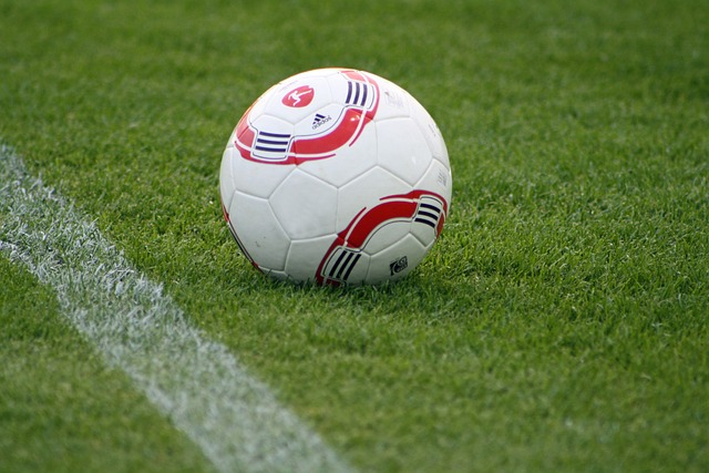 的俱乐部 的俱乐部