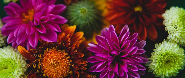 次重大失误 次重大失误