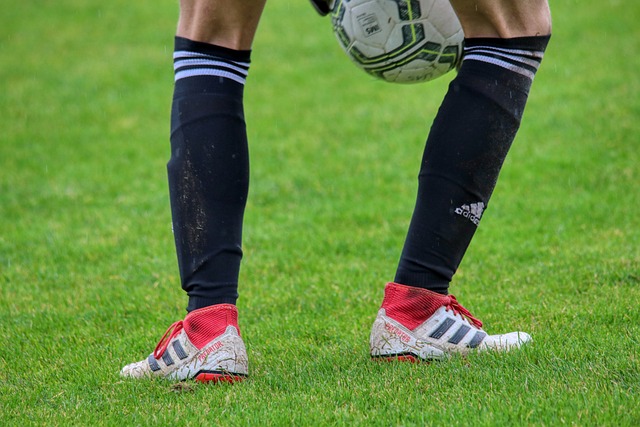 目的人物 目的人物