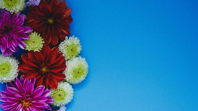 表现一跃而 表现一跃而