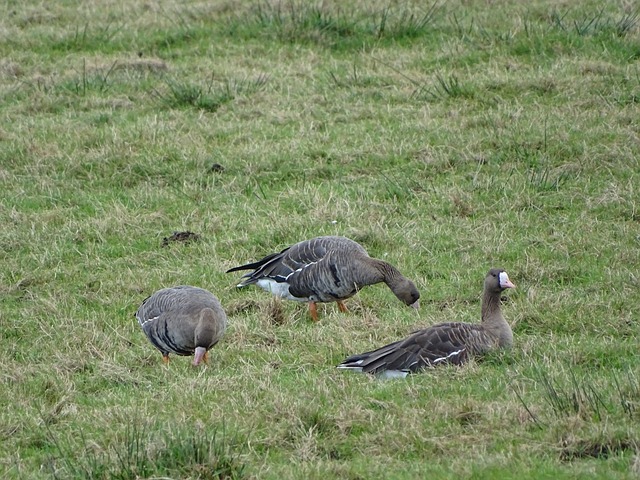 试接近优秀 试接近优秀